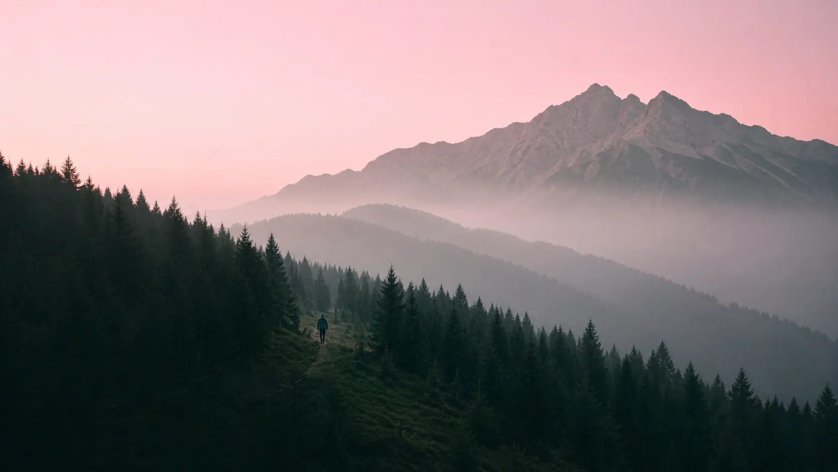A hiker seen from behind on a forest trail, facing a mountain.